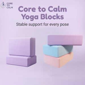 EVA Single Color Yoga Block(two blocks/set)