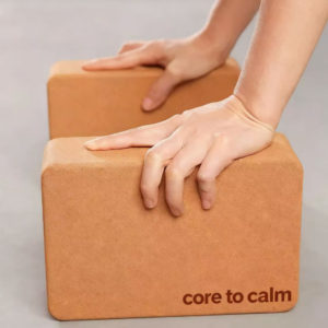 Cork Yoga Block(two blocks/set)
